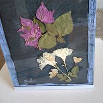 Mi Proyecto del curso: Técnicas básicas de prensado botánico. Arts, Crafts, Fine Arts, Collage, DIY, Floral, and Plant Design project by Nereida Hernández Delgado - 10.11.2021