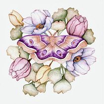 Meu projeto do curso: Desenho e composição naturalista em aquarela. Traditional illustration, Drawing, Watercolor Painting, and Naturalistic Illustration project by Sabrina Eliza Rodrigues - 09.26.2021