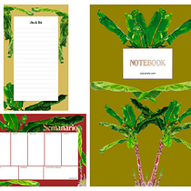 Mi Proyecto del curso: Ilustración botánica con acuarela. Ilustração tradicional, Artes plásticas, Pintura, Desenho, Pintura em aquarela e Ilustração botânica projeto de Jefferson Pastuña - 07.10.2021