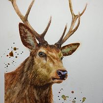 My project in Expressive Animal Portraits in Watercolor course. Un projet de Illustration traditionnelle, Aquarelle, Dessin réaliste et Illustration naturaliste de Lori Tews - 12.10.2021