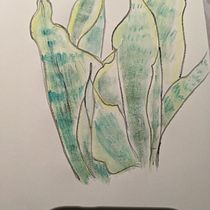 My project in Botanical Sketchbooking: A Meditative Approach course. Ilustração tradicional, Esboçado, Desenho, Pintura em aquarela, Ilustração botânica, e Sketchbook projeto de yanyantse321 - 12.10.2021