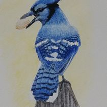 My project in Artistic Watercolor Techniques for Illustrating Birds course. Traditional illustration, Watercolor Painting, Realistic Drawing, and Naturalistic Illustration project by csteele7 - 10.12.2021