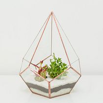 Mi Proyecto del curso: Creación de terrarios con la técnica Tiffany. Un proyecto de Diseño de complementos, Diseño de interiores, Decoración de interiores, DIY, Diseño floral y vegetal de Páramo Store - 12.10.2021