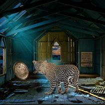 Mi Proyecto del curso: Secretos del fotomontaje y el retoque creativo. Photograph, Photograph, Post-production, VFX, Photo Retouching, Fine-Art Photograph, Photographic Composition, and Photomontage project by Aneury Rodriguez Rodriguez - 10.13.2021