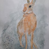 My project in Expressive Animal Portraits in Watercolor course. Un projet de Illustration traditionnelle, Aquarelle, Dessin réaliste et Illustration naturaliste de eluned_eleven - 14.10.2021