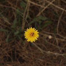 Mi Proyecto del curso: Introducción a la fotografía digital. Un projet de Photographie , et Photographie numérique de Neus Raluy colominas - 16.10.2021
