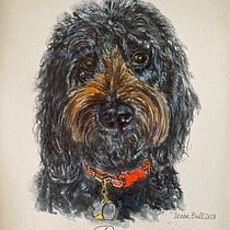 My project in Expressive Animal Portraits in Watercolor course. Un projet de Illustration traditionnelle, Aquarelle, Dessin réaliste et Illustration naturaliste de Denise Bull - 16.10.2021