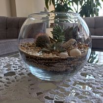Mi Proyecto del curso: Arte vegetal: crea tu propio terrario abierto. Floral, Plant Design, Interior Design, L, scape Architecture, Decoration, and DIY project by gennys Restituyo Paradas - 10.14.2021
