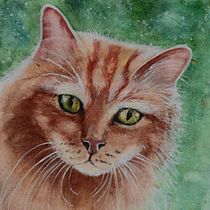 Il mio progetto del corso: Ritratti espressivi di animali ad acquerello. Un projet de Illustration traditionnelle, Aquarelle, Dessin réaliste et Illustration naturaliste de Serena Maggi - 16.10.2021