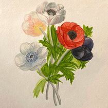 My project in Botanical Illustration with Watercolors course. Ilustração tradicional, Artes plásticas, Pintura, Desenho, Pintura em aquarela e Ilustração botânica projeto de Lina Todorova - 09.10.2021