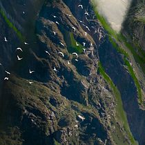 Mi Proyecto del curso: Matte Painting: creando mundos fotorrealistas. Photograph, Photograph, Post-production, Photo Retouching, Digital Photograph, Photomontage, and Matte Painting project by pridalyrr - 10.17.2021