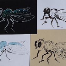 Mon projet du cours : Illustrer la nature : une exploration créative. Traditional illustration, Painting, Drawing, Watercolor Painting, Ink Illustration, and Naturalistic Illustration project by claude_hamel9 - 10.12.2021