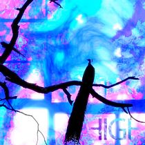 BE HIGH TRIPPY Ein Projekt aus dem Bereich Motion Graphics, 3D, Bildbearbeitung und 3-D-Animation von Dan Ortega - 14.10.2021