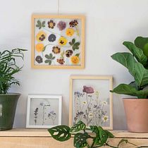 My project in Basic Botanical Pressing Techniques course. Arts, Crafts, Fine Arts, Collage, DIY, Floral, and Plant Design project by Lili Kovács - 10.18.2021