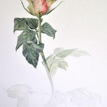 Il mio progetto del corso: Disegno architettonico con acquerello e inchiostro. Sketching, Drawing, Watercolor Painting, Architectural Illustration, Sketchbook & Ink Illustration project by france21_21 - 10.30.2021