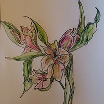My project in Botanical Sketchbooking: A Meditative Approach course. Ilustração tradicional, Esboçado, Desenho, Pintura em aquarela, Ilustração botânica, e Sketchbook projeto de Linda Rogers - 19.10.2021