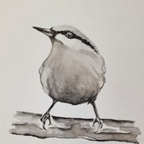 My project in Artistic Watercolor Techniques for Illustrating Birds course. Traditional illustration, Watercolor Painting, Realistic Drawing, and Naturalistic Illustration project by Michelle Harvey - 10.20.2021