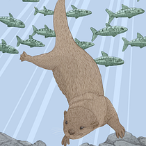 My project in Natural Illustration with Digital Painting course. Traditional illustration, Drawing, Digital Illustration, Realistic Drawing, Digital Painting, and Naturalistic Illustration project by Rebecca Elyanow - 10.21.2021
