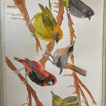 My project in Artistic Watercolor Techniques for Illustrating Birds course. Traditional illustration, Watercolor Painting, Realistic Drawing, and Naturalistic Illustration project by Louise Duffett - 10.05.2021