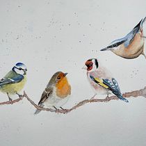 Mijn project van de cursus: Vogels illustreren met artistieke aquarel. Traditional illustration, Watercolor Painting, Realistic Drawing, and Naturalistic Illustration project by Renske Terpstra - 10.05.2021