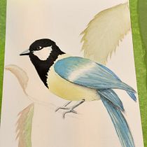 My project in Experimental Watercolor Techniques for Beginners course. Traditional illustration, Fine Arts, Watercolor Painting, and Naturalistic Illustration project by Grace von Matt - 10.24.2021
