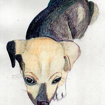 Mi Proyecto del curso: Técnicas experimentales de acuarela para principiantes . Traditional illustration, Fine Arts, Watercolor Painting, and Naturalistic Illustration project by Luis Alejandro Robayo León - 10.24.2021