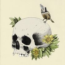 Il mio progetto del corso: Illustrazione naturalistica a penna. Traditional illustration, Drawing, Realistic Drawing, and Naturalistic Illustration project by bea_vuillermoz - 10.25.2021