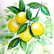 Mi Proyecto del curso: Ilustración botánica con acuarela - Limones en Invierno. Ilustração tradicional, Artes plásticas, Pintura, Desenho, Pintura em aquarela e Ilustração botânica projeto de Stephanie Charpentier - 25.10.2021