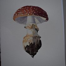 My project in ‌Illustration of Natural Elements in Watercolor course. Traditional illustration, Naturalistic Illustration, and Watercolor Painting project by Pearl Maxner - 10.27.2021