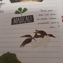 Mi Proyecto del curso: Introducción al bullet journal ilustrado. Projekt z dziedziny Trad, c, jna ilustracja, Craft, T, pografia,  R, sunek, R, sunek botaniczn, DIY,  Pismo dekorac i jne użytkownika evagelsa - 28.10.2021