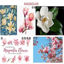 Mi Proyecto del curso: Técnicas de acuarela en negativo para ilustración botánica Ein Projekt aus dem Bereich Traditionelle Illustration, Aquarellmalerei und Botanische Illustration von romy_alamo - 25.10.2021