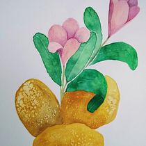 Meu projeto do curso: Ilustração de elementos naturais em aquarela. Un progetto di Illustrazione tradizionale, Illustrazione naturalistica e Pittura ad acquerello di Patrícia de Oliveira Dias - 29.10.2021