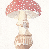 My project in ‌Illustration of Natural Elements in Watercolor course. Un progetto di Illustrazione tradizionale, Illustrazione naturalistica e Pittura ad acquerello di yvesnoir - 30.10.2021
