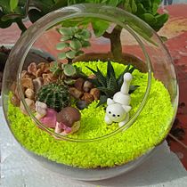 Mi Proyecto del curso: Arte vegetal: crea tu propio terrario abierto. Interior Design, L, scape Architecture, Decoration, DIY, Floral, and Plant Design project by f.jimenez.laura - 10.31.2021