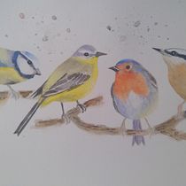 My project in Artistic Watercolor Techniques for Illustrating Birds course. Traditional illustration, Watercolor Painting, Realistic Drawing, and Naturalistic Illustration project by Ria Kotze - 10.30.2021
