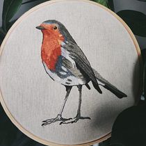 Meu projeto do curso: Pintar com linha: técnicas de ilustração têxtil. Bordado e Ilustração tradicional projeto de Heloísa Marton - 31.10.2021