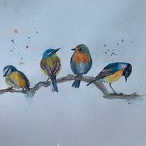 My project in Artistic Watercolor Techniques for Illustrating Birds course. Traditional illustration, Watercolor Painting, Realistic Drawing, and Naturalistic Illustration project by Pauline Roberts - 10.31.2021