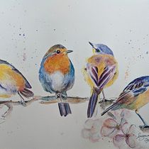 My project in Artistic Watercolor Techniques for Illustrating Birds course. Traditional illustration, Watercolor Painting, Realistic Drawing, and Naturalistic Illustration project by Sue Orchison - 11.01.2021
