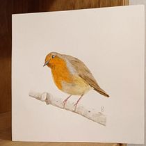 Mi Proyecto del curso: Ilustración naturalista de aves con acuarela. Projekt z dziedziny Trad, c, jna ilustracja, Malowanie akwarelą, R, sunek realist, czn, Ilustracja naturalist i czna użytkownika Anna Lorita - 01.11.2021