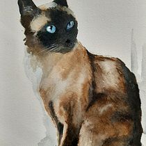 Il mio progetto del corso: Ritratti espressivi di animali ad acquerello. Un projet de Illustration traditionnelle, Aquarelle, Dessin réaliste et Illustration naturaliste de Silvia Biagiotti - 01.11.2021