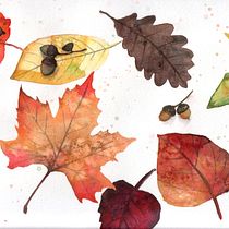 My project in Techniques applied to watercolour illustration course: greeting cards in autumn theme. Un progetto di Illustrazione tradizionale, Belle arti, Pittura e Pittura ad acquerello di marieke - 01.11.2021