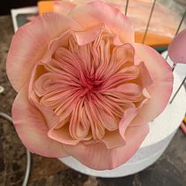 My project in Sugar Flowers for Cake Designs course. Un progetto di Design e DIY di Indra Yadira Correa Ojeda - 02.11.2021