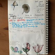 Mein Kursprojekt: Illustration einer naturwissenschaftlichen Zeitschrift. Projekt z dziedziny Trad, c, jna ilustracja, Malowanie akwarelą, R, sunek botaniczn i Sketchbook użytkownika Karen - 03.11.2021