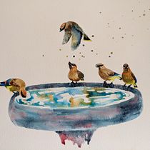 My project in Artistic Watercolor Techniques for Illustrating Birds course. Projekt z dziedziny Trad, c, jna ilustracja, Malowanie akwarelą, R, sunek realist, czn, Ilustracja naturalist i czna użytkownika katiemoore113 - 26.01.2022