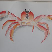 Meu projeto do curso: Ilustração em aquarela com influência japonesa. Drawing, Traditional illustration, and Watercolor Painting project by noemi_murata - 11.03.2021