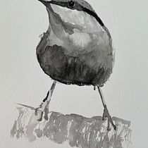 My project in Artistic Watercolor Techniques for Illustrating Birds course. Traditional illustration, Watercolor Painting, Realistic Drawing, and Naturalistic Illustration project by christinesinclair1 - 11.03.2021
