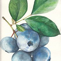 Il mio progetto del corso: Illustrazione botanica con acquerello. Ilustração tradicional, Artes plásticas, Pintura, Desenho, Pintura em aquarela e Ilustração botânica projeto de coloroby - 04.11.2021