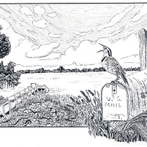 My project in Dip Pen and Ink Illustration: Capturing The Natural World course. Een project van  Schetsen,  Tekening,  Artistieke tekening, Sketchbook,  Illustratie met inkt y Naturalistische illustratie van Diane Cambron - 04.11.2021