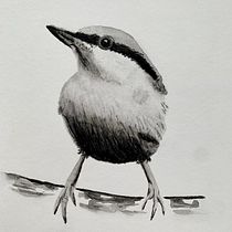 My project in Artistic Watercolor Techniques for Illustrating Birds course. Traditional illustration, Watercolor Painting, Realistic Drawing, and Naturalistic Illustration project by Anne Scheltes - 11.05.2021