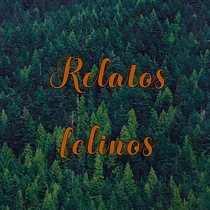 Mi Proyecto del curso: Escritura de una novela paso a paso. Writing, Creativit, Stor, telling, and Narrative project by angelicatapia771 - 11.05.2021